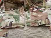 IMG_20220723_120658.jpg