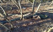 Кормилицын 32.jpg