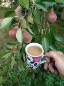 IMG_20220724_083719.jpg