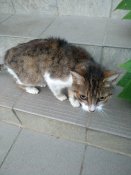 IMG_20220723_200840.jpg