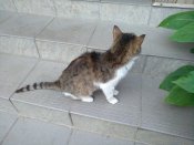 IMG_20220723_200904.jpg