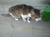 IMG_20220723_200843.jpg