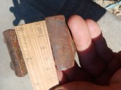 IMG_20220724_094654.jpg