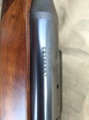 IMG_20220726_162740.jpg