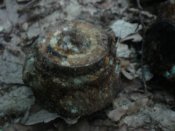 DSC00411.JPG