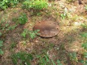 DSC01699.JPG