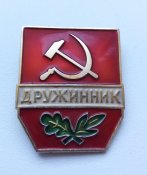 Дружинник
