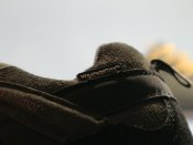 IMG_8281.JPG