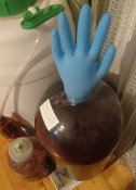 IMG_20220801_072305.jpg