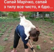 IMG-9ca1c85f76353e4a329c6844fecf6e1f-V.jpg