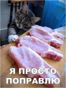 IMG-f6bb62f243d2ee21bbec150f97c39881-V.jpg