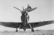 bf109e1perro9hj.jpg