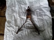 IMG_20130729_124716.jpg