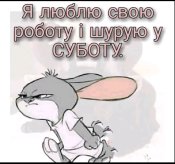 IMG_20220806_093556.jpg