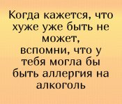 alko-20.jpg