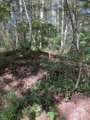 IMG_20220807_155158_127.jpg