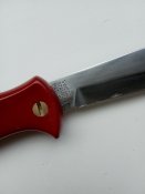 IMG_20220808_092902.jpg