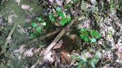IMG_20220803_120021.jpg