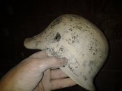 20130724_161620.jpg