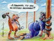 FB_IMG_1660024223995.jpg