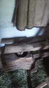 IMG_20220809_150234.jpg