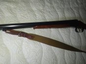 IMG_20220809_151905.jpg