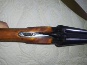 IMG_20220809_151934.jpg