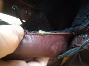 Термо сапоги (ботинки) Timberland р-р. 42-42.5-й (27.5 см)