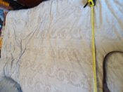 IMG_20220811_184123.jpg
