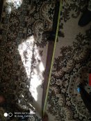IMG_20220806_090114.jpg