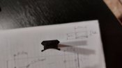 20220705_015533.jpg