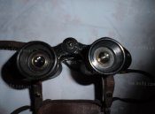 DSC01235-1.jpg