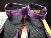 IMG_20220810_133929.jpg