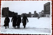 IMG_3908.JPG
