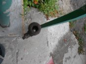 DSCN0188.JPG