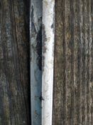 IMG_20220817_082527.jpg