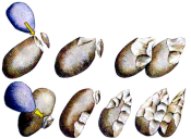 ED9A8C95-E551-4B37-893E-2428A09089C0.png