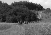 P1090446.JPG