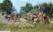 DSC_302.jpg