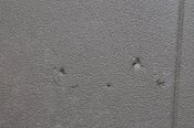 IMG_1146.JPG