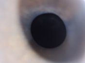 20220821_132655.jpg