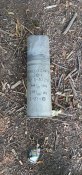 IMG-20220826-WA0019.jpg
