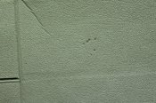 IMG_1213.JPG