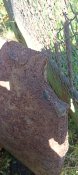 IMG_20220827_161800.jpg