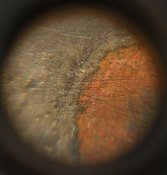 DSCN5351.JPG