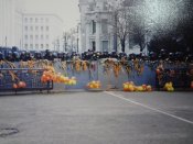 Фото Помаранчева революція