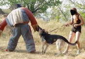 IMG_3271.jpg