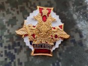 Орківський нагрудний знак ППО