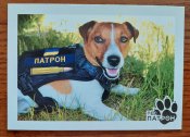 Открытка, листівка, картка: пес Патрон