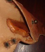 DSC00125.jpg